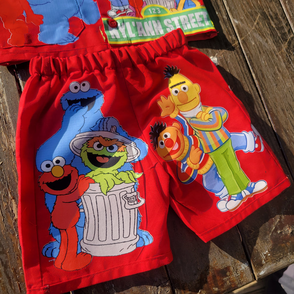 Sesame Street Dickie Set